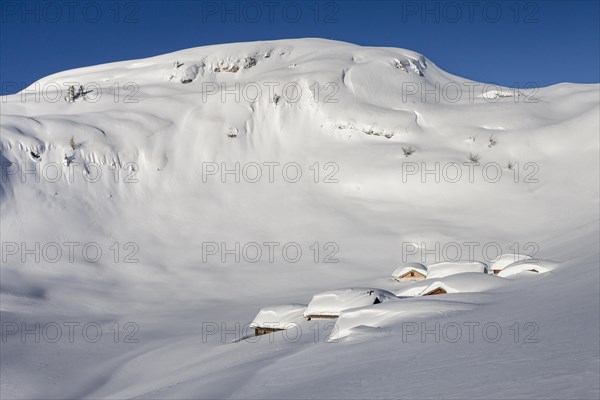 Snowy Sennesalm