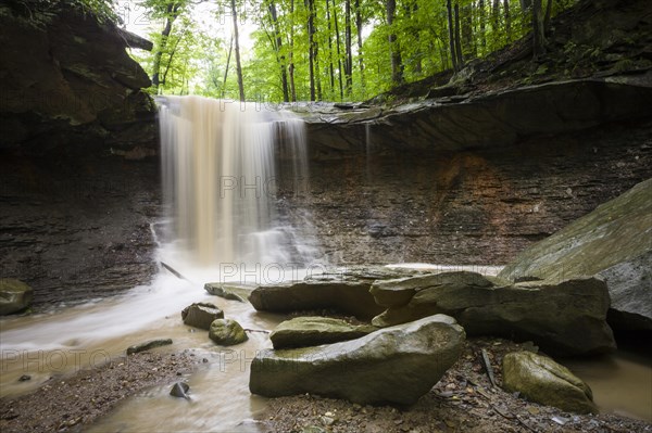 Blue Hen Creek Falls surrounded by lush forest after a heavy rainfall