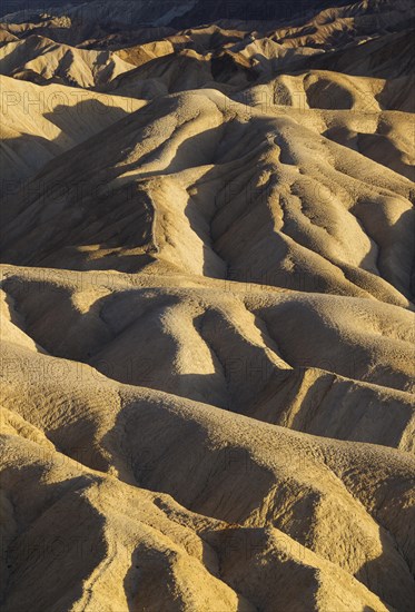 Eroded badlands in the Gower Gulch seen from Zabriskie Point in the evening light