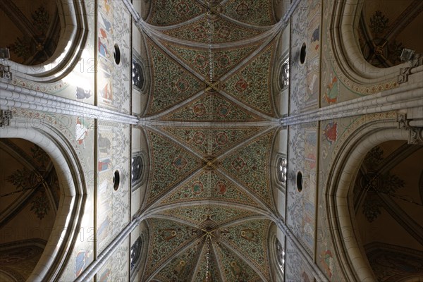 Vaulted ceiling