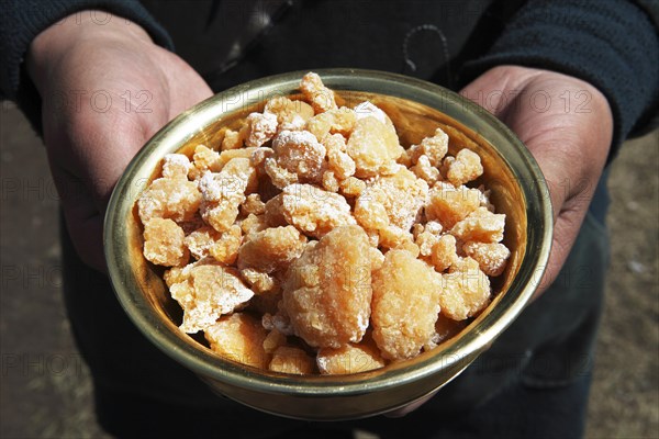 Woman's hands holding a bowl of Eezgii