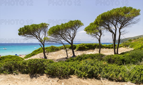 Beach of Mari Pintau