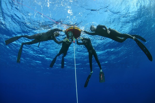 Freedivers