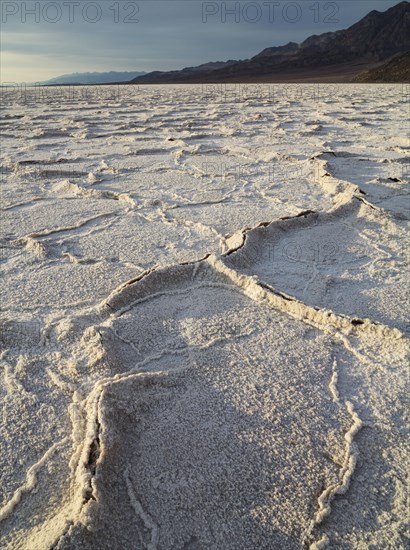 Salt crusts at the Badwater Basin