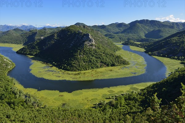 Big bend of river Rijeka Crnojevica