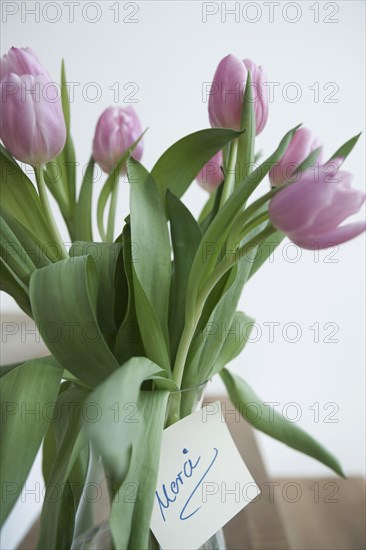 Tulips in a vase with the note 'Merci'