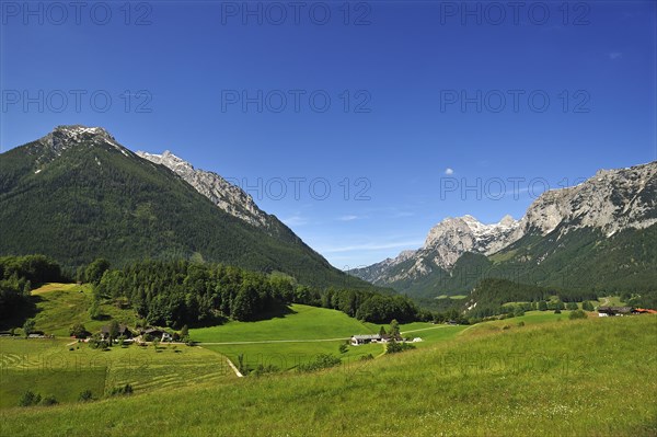 Mt Reiter Alpe