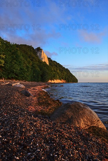 Koenigsstuhl chalk cliff