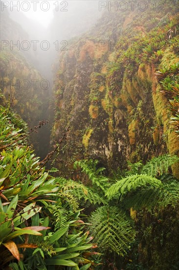 Canyon on La Soufriere volcano