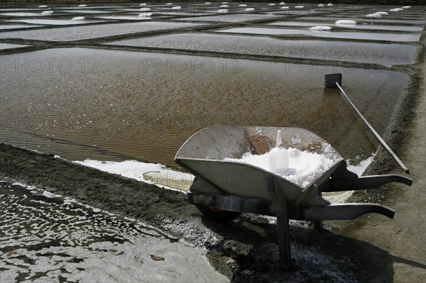 Salt farm