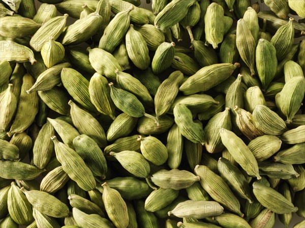 Green Elaichi cardamom pods