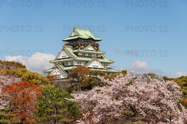 Osaka Castle with flowering cherry trees in the park