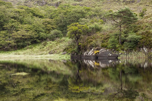 Upper Lake