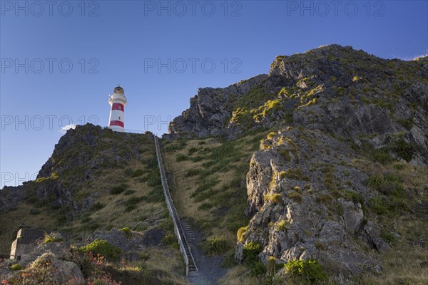 Stairs to the Cape Palliser Lighthouse