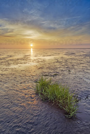 Wadden Sea