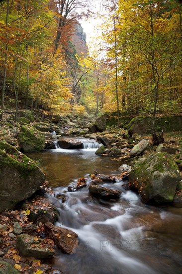 Ilse River in Ilsetal valley in autumn