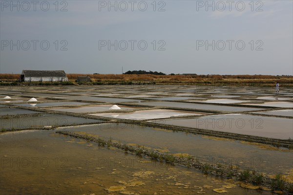 Salt farm