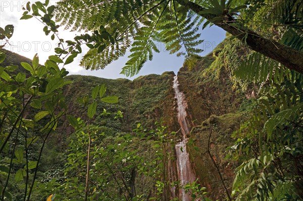 Chutes du Carbet