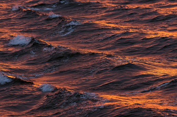 Bow waves in the evening light