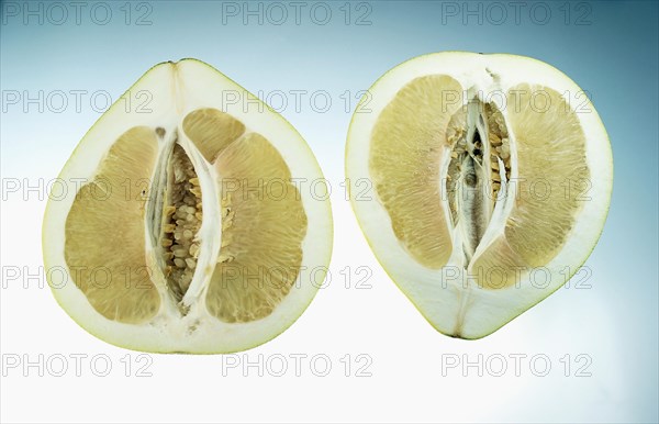 Honey Pomelo (Citrus maxima