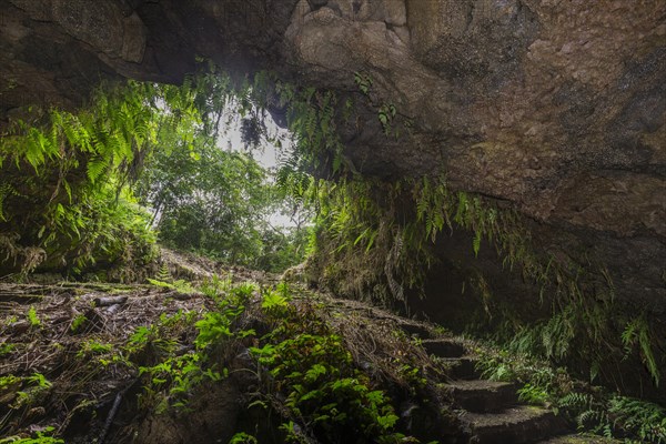 Exit of a lava tube