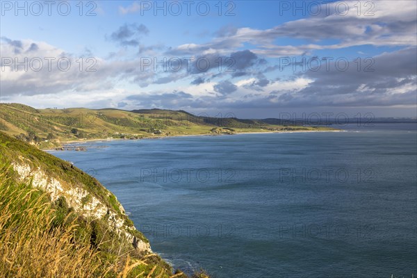 The Catlins in the morning light