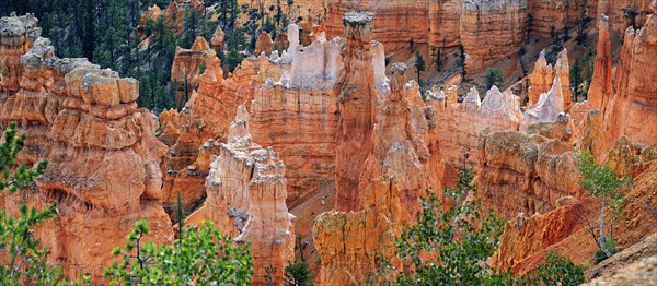 View from Rim Trail into the Queens Garden of Bryce Canyon
