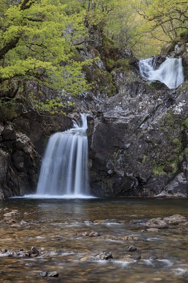 Waterfall in a forest