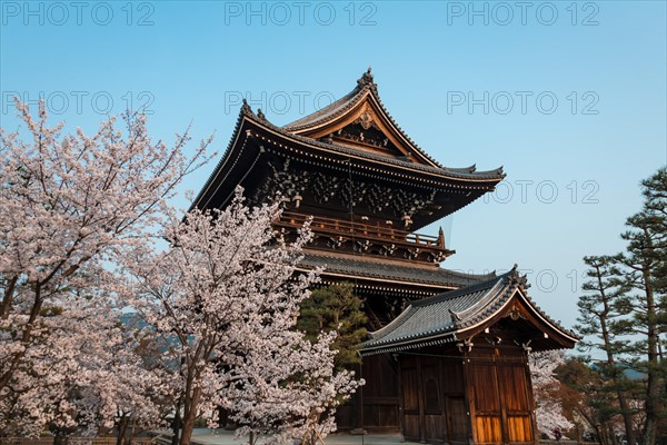 Japanese Temple