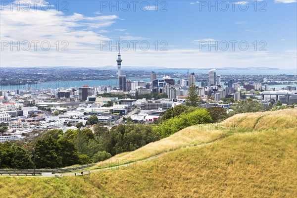 View from Mount Eden