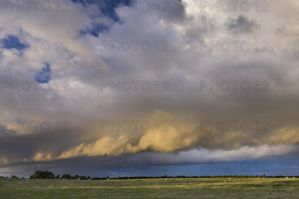 Dramatic clouds over a sheep pasture