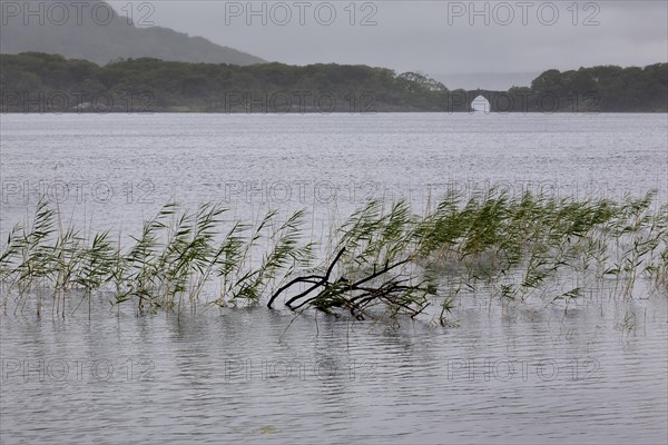 Brickeen Bridge on Muckross Lake