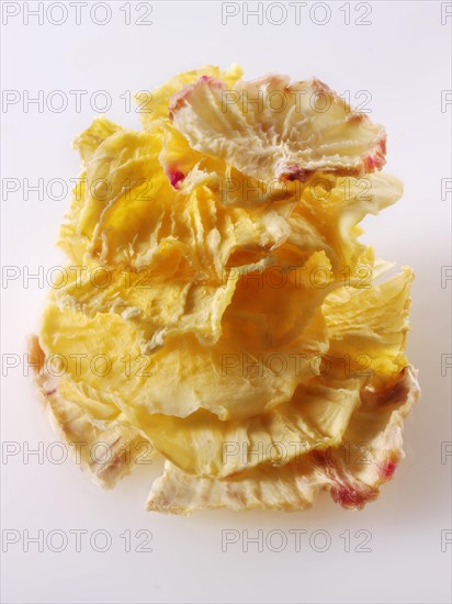 Dried root of Yacon (Smallanthus sonchifolius