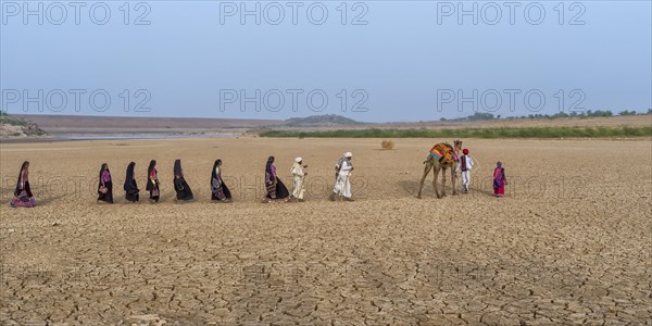 Rabari tribe people walking in the desert with a dromedary