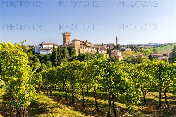 Vineyards in front of the Castello di Levizzano Rangone