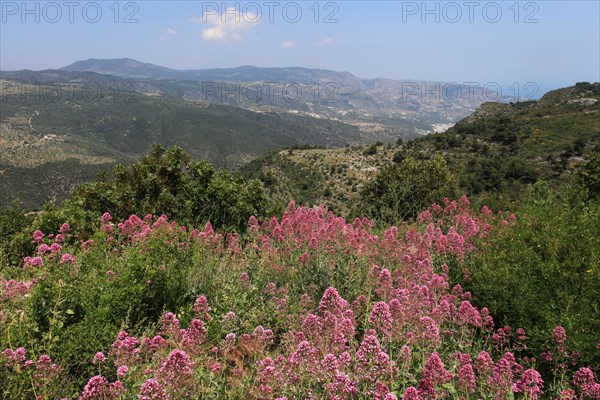 View from Monte Sant'Angelo