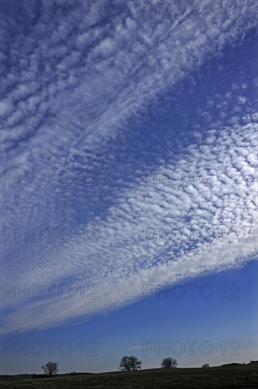 Fluffy clouds or cirrocumulus clouds