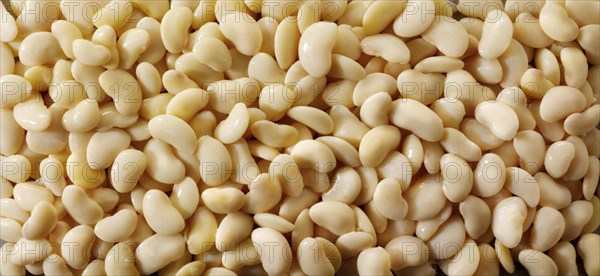 Butter beans