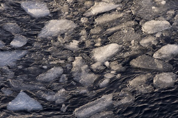Ice floes
