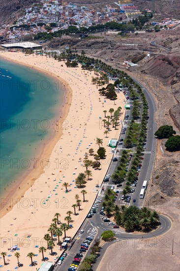 The sandy beach of Playa de las Teresitas with palm trees