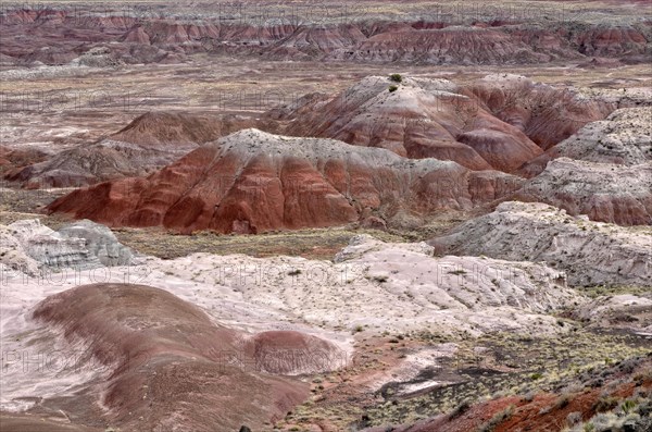 Painted Desert