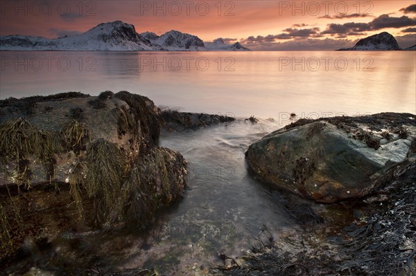 Vikbukta Bay at sunset