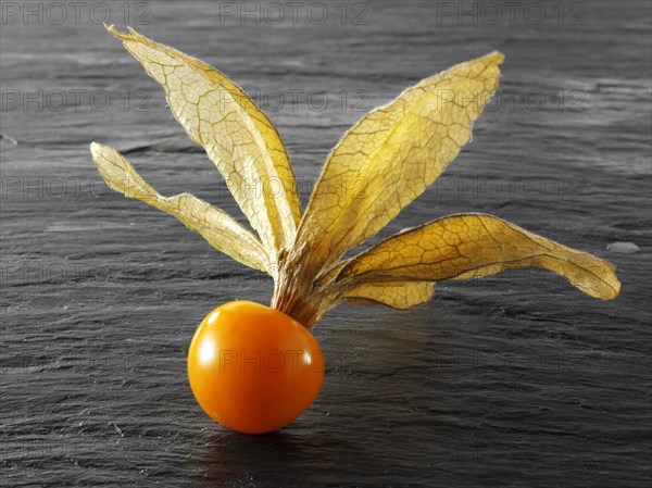 Fresh Cape Gooseberry (Physalis peruviana)