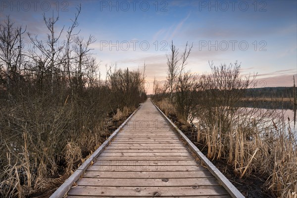 Boardwalk in Schwenninger Moos Nature Reserve