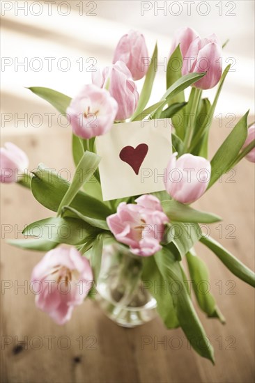 Tulips in vase