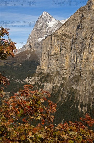 Summit of Eiger Mountain in autumn