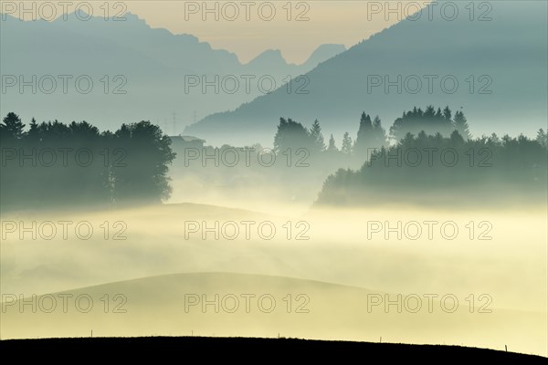 Autumn fog atmosphere in Swiss Plateau or Central Plateau