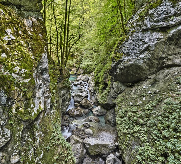 Tolmin Gorge
