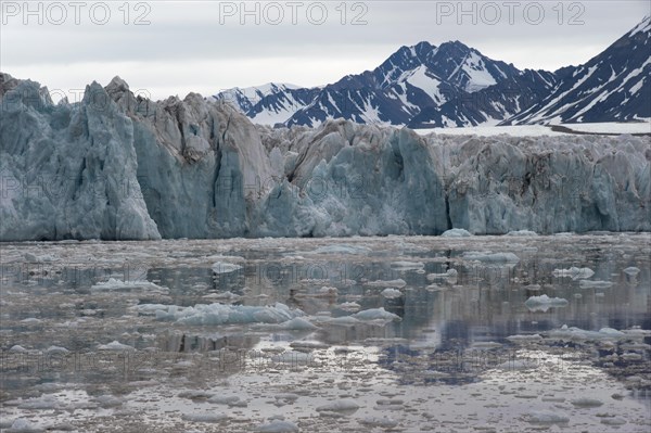 Green shimmering glacier front of Kongsbreen