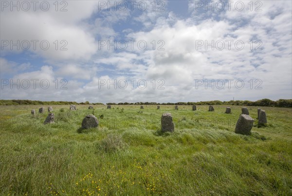 The Merry Maidens